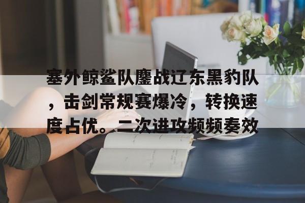  蛟龙突击队vs海豹突击队结果最新 
